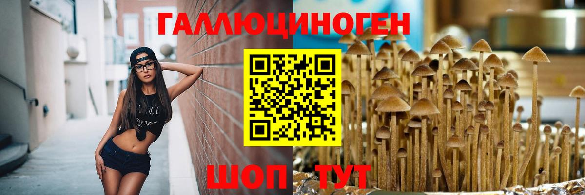 Норильск  Псилоцибиновые грибы Magic Shrooms  Вход с VPN 